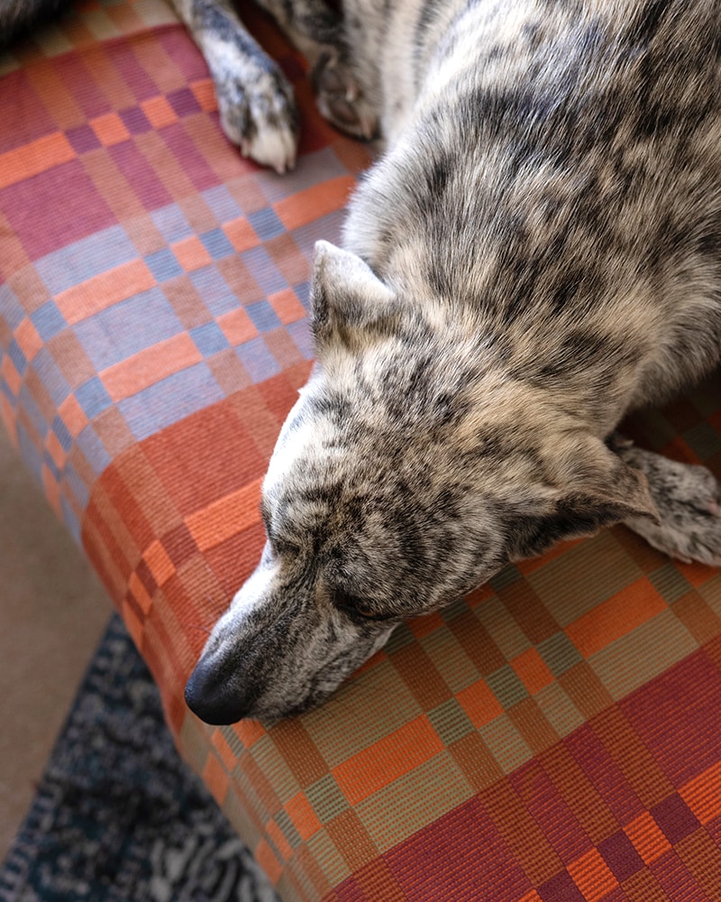 Mungo_Fido_Blanket_Ginger_2