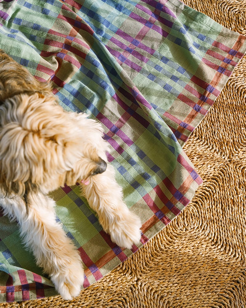 Mungo_Fido_Blanket_Stella_23