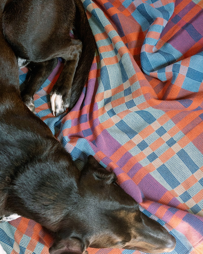 Mungo_Fido_Blanket_Toto_32